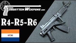 South African Galils: The R4, R5, R6, and LM Series