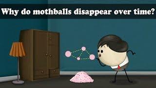 Sublimation - Why do mothballs disappear over time? | #aumsum #kids #science #education #children