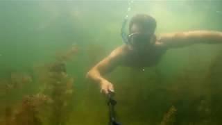 Diving in green lake.Ukraine liman 2016. Лиман,Украина.