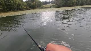 Big Largemouth Bass Caught in the Fall in Piney Run, Maryland! Cast-to-Catch and Release!