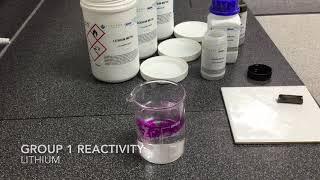 Demonstration: Reactivity of Group 1/Alkali Metals