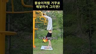 180도 거꾸로 매달려서 그림그리기