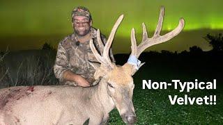 Non-Typical Full Velvet Whitetail Archery Hunt!