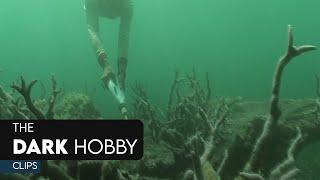 The Dark Hobby Clips [3/7] | Reefs Are In Peril