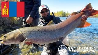 Mongolian Taimen Fishing in Shishged River : The Motherland of Taimen