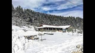 lake Abant Nature Park, Bolu Turkey.