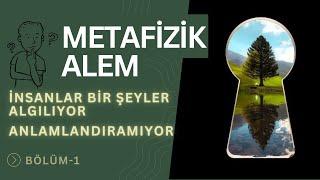 METAFİZİK ALEM: İnsanlar Bir Şeyler Algılıyor, Anlamlandıramıyor Bölüm-1| Synergy Kendiyas |