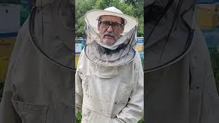 Причина роения одна! #bee #beekeeper #пчеловодство