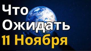 Что Ожидать И Что Делать 11 Ноября. Мощный Энергетический Портал 11.11.