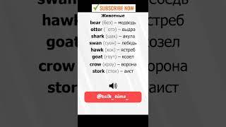 животные На английском #talktime #english #youtube #английский #betterlife