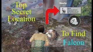 SECRET LOCATION OF EAGLE & HOW TO GET COMPANION IN PUBG MOBILE | COMPANION EAGLE IN PUBG MOBILE ?