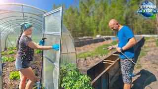 The busy life of Belarusian farmers does not exhaust them, but strengthens them.