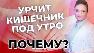 Урчит кишечник под утро - почему?