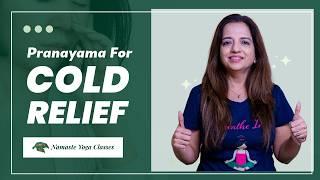 Pranayama for Cold Relief | 5 Pranayama Techniques for a Blocked Nose