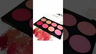 technic Colour Fix Blush Pallette Review|Best blushpallette|#shorts #short #youtubeshorts #trending