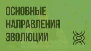 Основные направления эволюции. Видеоурок по биологии 9 класс