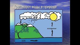 Открытый урок по предмету "Окружающий мир" в 3 классе. Учитель начальных классов - Водовозова М.А.