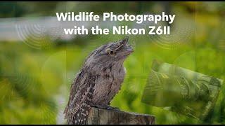 Wildlife Photography with the Nikon Z6 II