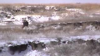 Big Bear Outdoors  SD Deer Hunting '14 Part 2