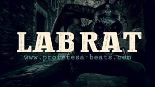 Hard Dubstep Rap Beat Instrumental '' Lab Rat '' (prod. Profetesa) Dope D.O.D Style Type Beat