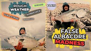 Epic Shore Fishing in Croatia – Albacore Madness