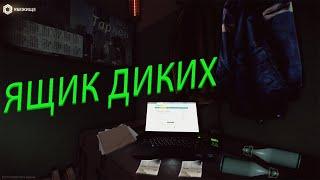 Ящик диких "За что отправлять Диких" + ивент. Escape from Tarkov.