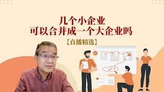 几个小企业可以合并成一个大企业吗？ 【直播精选】第208期