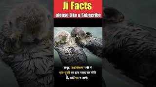 क्या आप ये जानते है इसके बारे मे | #jifacts #factsvideo #amazingfacts