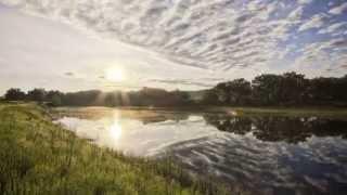 Elizabeth Hall Wetlands
