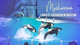 Moskvarium - The Largest Aquarium In Moscow, Russia | Regrow with Ribhav