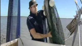 Escape Fishing with ET, Maximising Bycatch Survival - NSW Commercial Fishing, S09E20 Clip