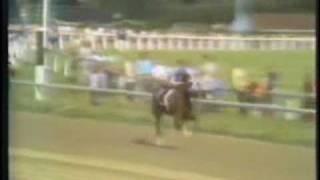 SECRETARIAT - 1973 Arlington Invitational (stretch call by Phil Georgeff)