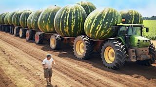 Biggest Fruits And Vegetables That HOLD World Records