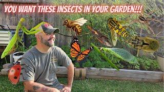 Identifying Beneficial Insects for Your Garden || DHBG