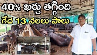 40% ఖర్చులు ఆదా CSR dairy farm In telugu @MalleshAdla