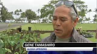 April 4, 2013 - Big Island Video News daily update