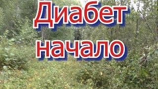 Диабет, советы начинающим