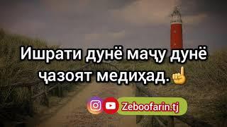 Дасти ҳар нокас магир дар нимароҳи зиндаги, Як қадам пеш аз ту гардад пешпоят медиҳад.