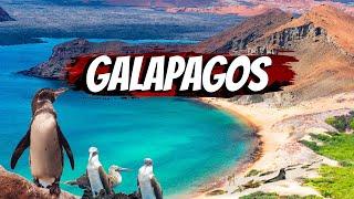 The Ultimate Guide to Galapagos Islands Adventures