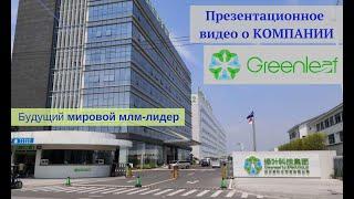 Компания Greenleaf / Гринлиф (Зеленый Лист). Франшиза. МЛМ