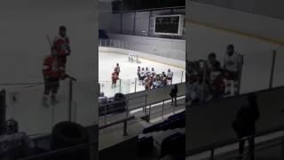 Массовая драка в женском хоккее / Women's hockey fight