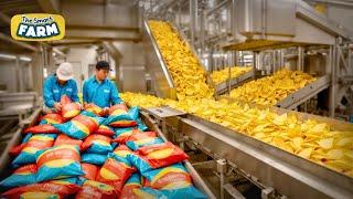 How Potato Chips Are Produced In CRAZY Amounts | Potato Harvesting Factory - Chips Processing Line