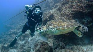 My First Scuba Dive at Maldives (Villa Nautica, Paradise Island)