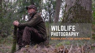 WOODLAND WILDLIFE PHOTOGRAPHY | photographing The Nuthatch from a hide