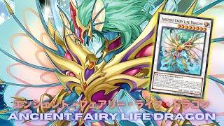 New Ancient Fairy Dragon !! Ancient Fairy Life Dragon DECK NEW CARD - YGOPRO