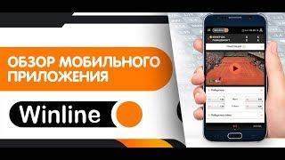 Приложение Винлайн – обзор мобильного приложения Winline