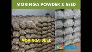 Moringa Dried Powder - Production & Processing