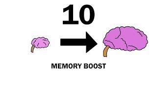 Top 10 Tips to get Better Memory | Boost Your Brain Power!