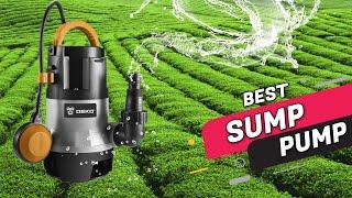 Top 5 best sump pumps Review in 2023