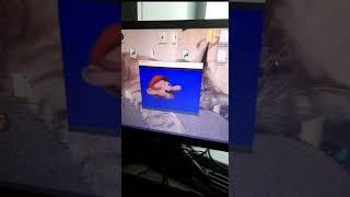 Mario breaks my pc #oh #nice #computer #you #got #here #mario #virus #viruscheck #windows